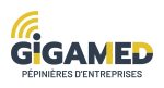 GIGAMED-