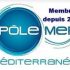 polemer